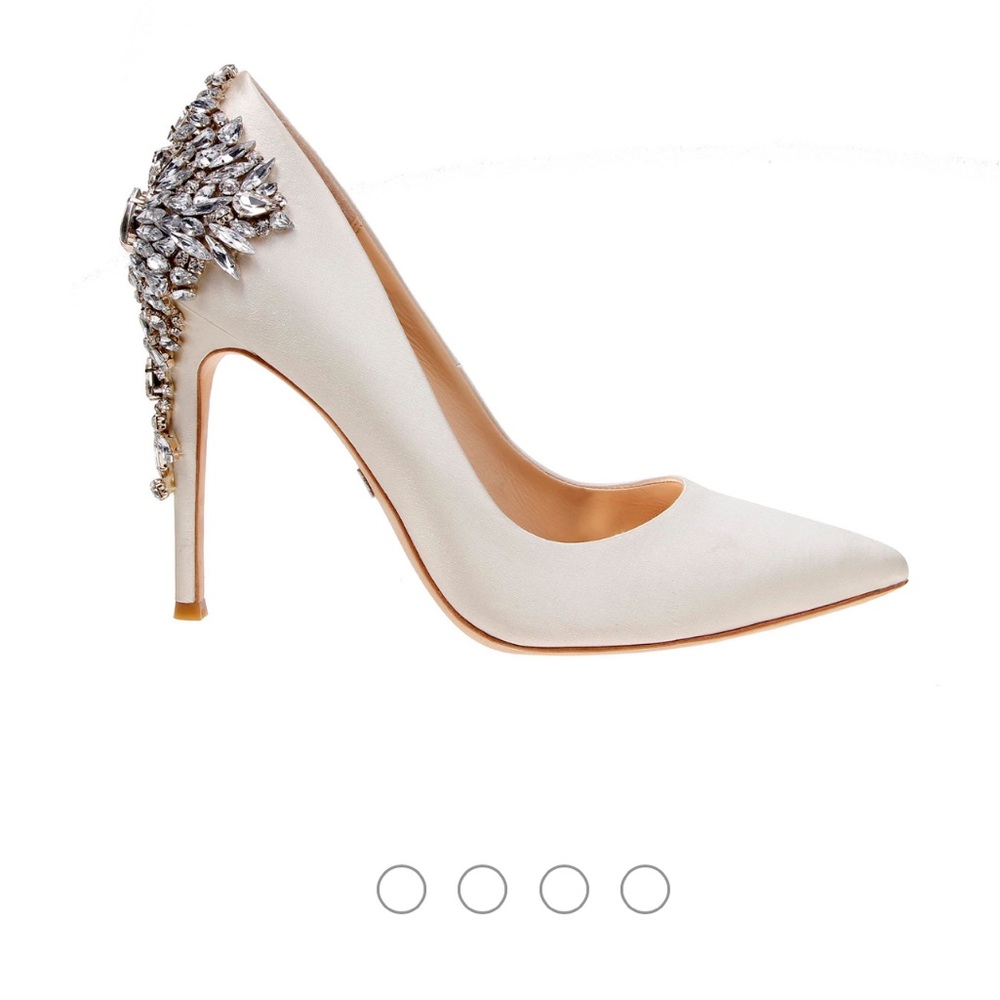 BADGLEY MISCHKA - Gorgeous Pointed Toe Evening Shoe